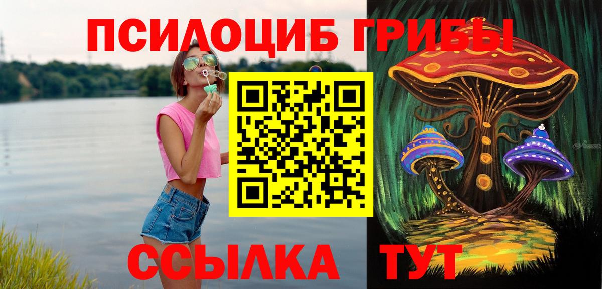 Галлюциногенные грибы прущие грибы  Вход с VPN  Галлюциногенные грибы Psilocybe  Медногорск 