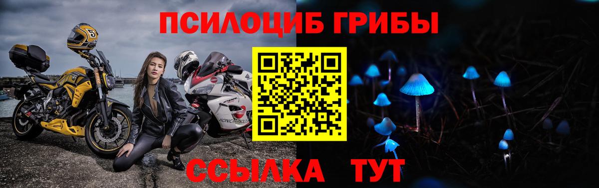 Псилоцибиновые грибы ЛСД Медногорск